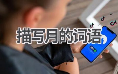 描写月的词语