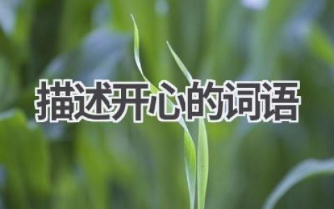 描述开心的词语