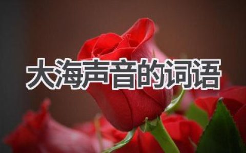 大海声音的词语