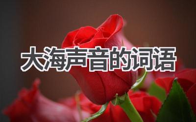 大海声音的词语