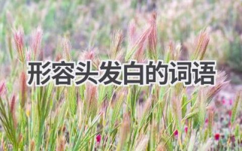 形容头发白的词语