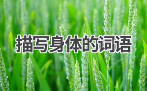 描写身体的词语