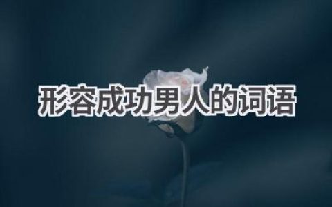 形容成功男人的词语