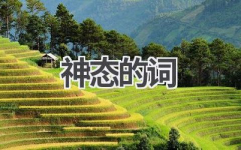 神态的词