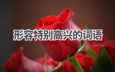 形容特别高兴的词语