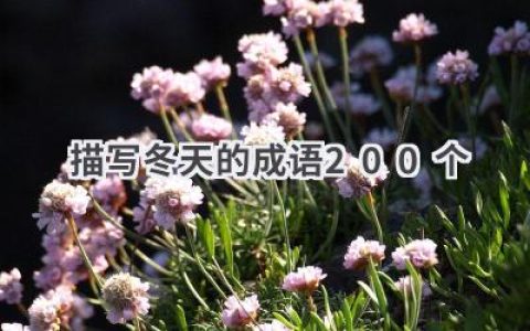 描写冬天的成语200个