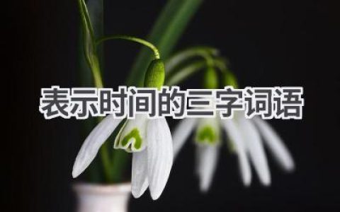 表示时间的三字词语