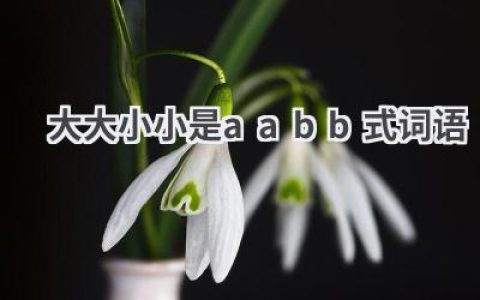 大大小小是aabb式词语