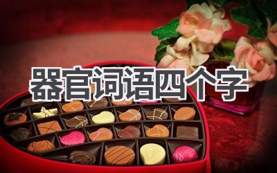 器官词语四个字