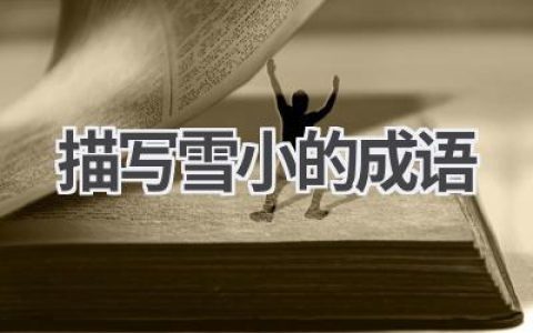 描写雪小的成语