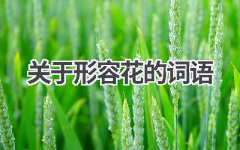 关于形容花的词语