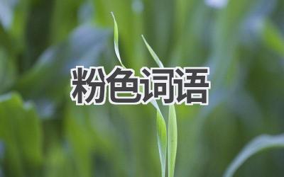 粉色词语