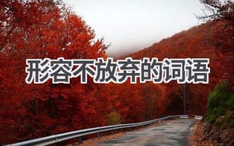 形容不放弃的词语