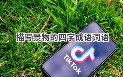 描写景物的四字成语词语