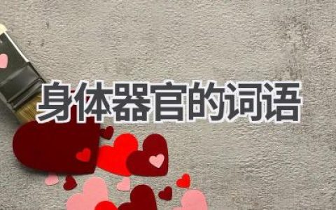 身体器官的词语