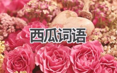 西瓜词语
