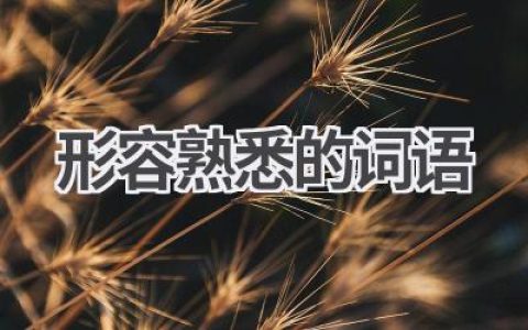 形容熟悉的词语