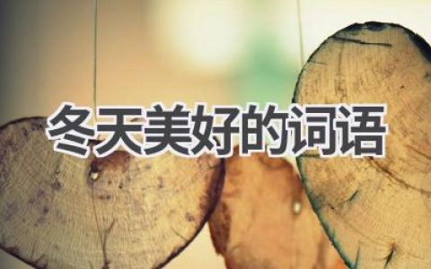 冬天美好的词语