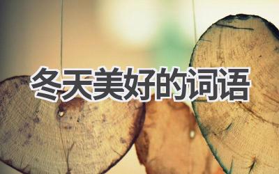冬天美好的词语