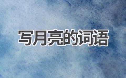 写月亮的词语