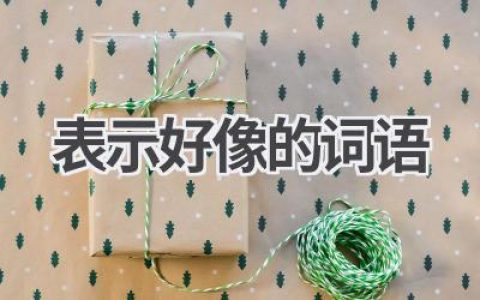 表示好像的词语