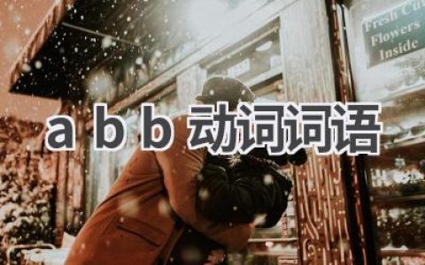 abb动词词语