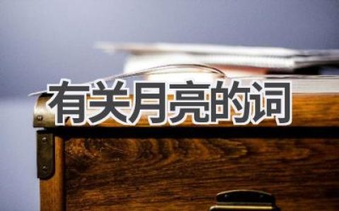 有关月亮的词