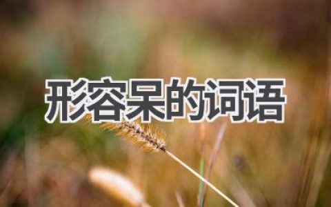 形容呆的词语