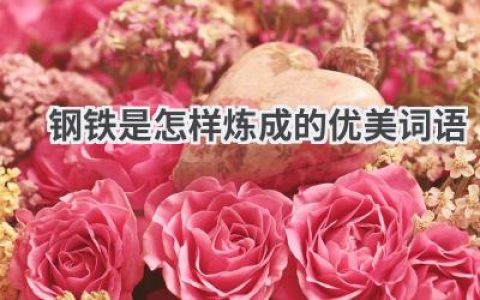钢铁是怎样炼成的优美词语