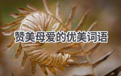 赞美母爱的优美词语