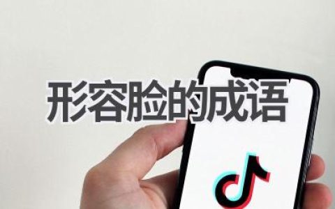 形容脸的成语