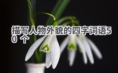 描写人物外貌的四字词语50个
