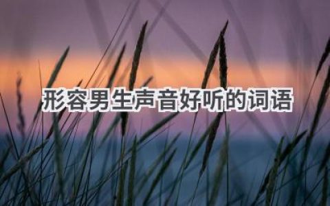 形容男生声音好听的词语