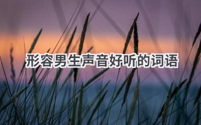 形容男生声音好听的词语