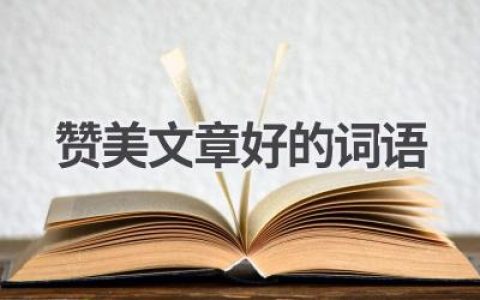赞美文章好的词语