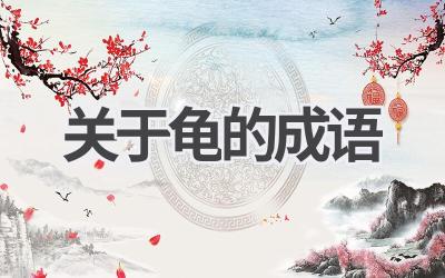 关于龟的成语