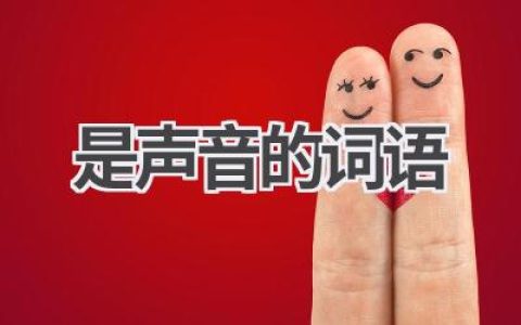 是声音的词语