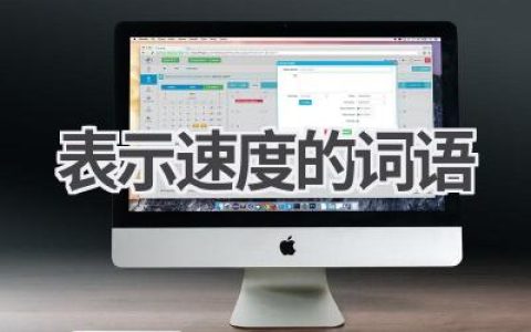 表示速度的词语