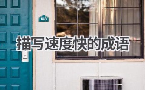 描写速度快的成语