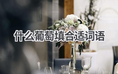 什么葡萄填合适词语