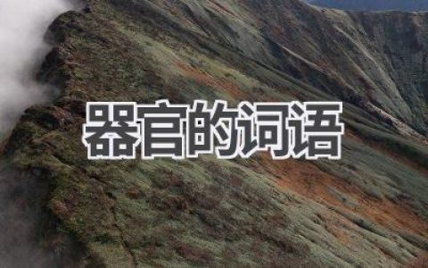 器官的词语