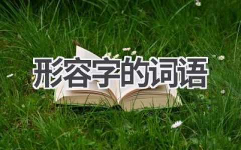 形容字的词语