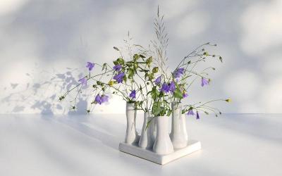 含动作的四字词语