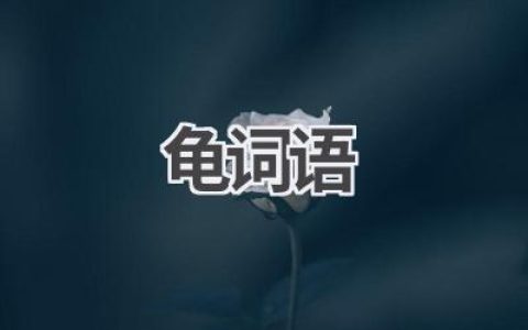 龟词语