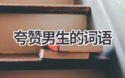 夸赞男生的词语