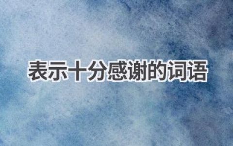 表示十分感谢的词语