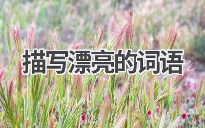 描写漂亮的词语