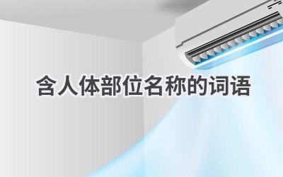 含人体部位名称的词语