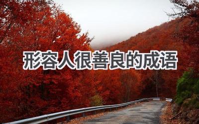 形容人很善良的成语