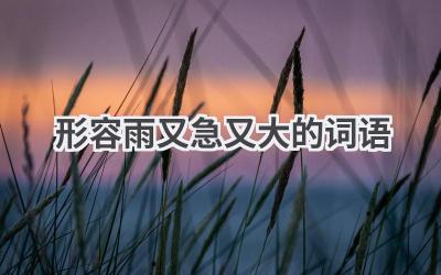 形容雨又急又大的词语